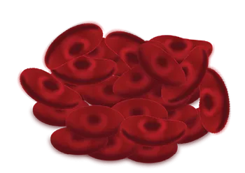 Iron Isn't Everything: The Hidden Factors That Actually Control Oxygen Delivery in Your Blood