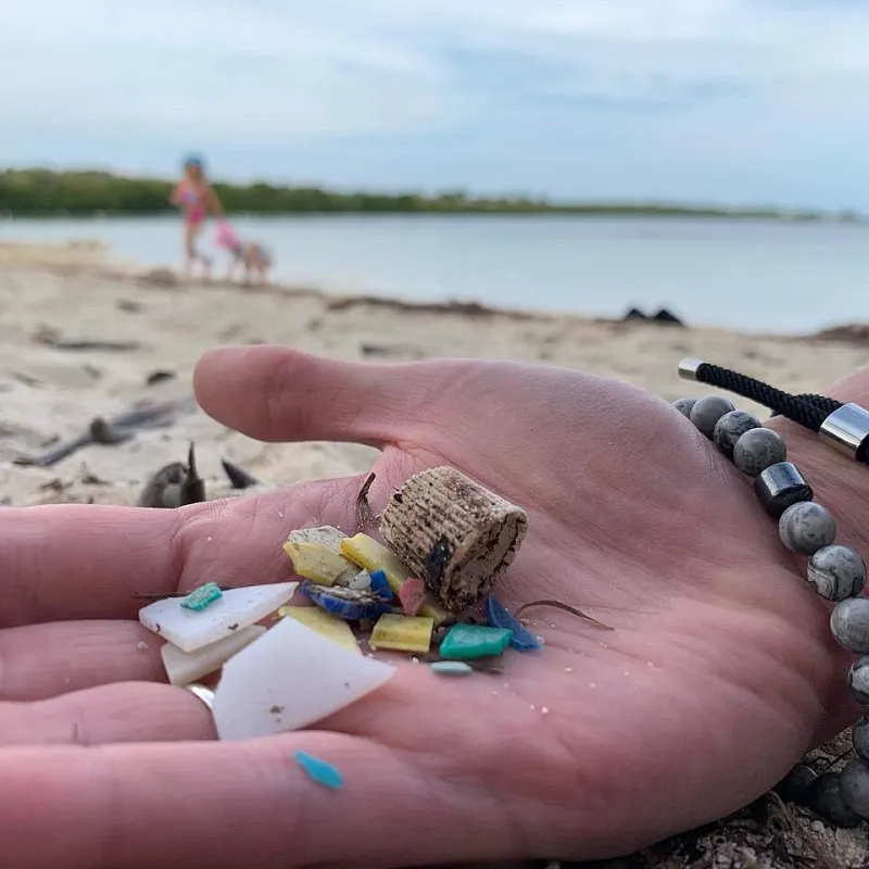 Plastic Particles in Your Blood: What Emerging Science Reveals About Their Threat to Circulation